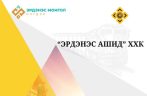 Компанийн товч танилцуулга