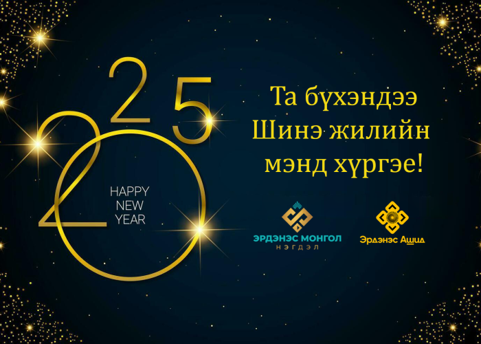 Шинэ жил 01